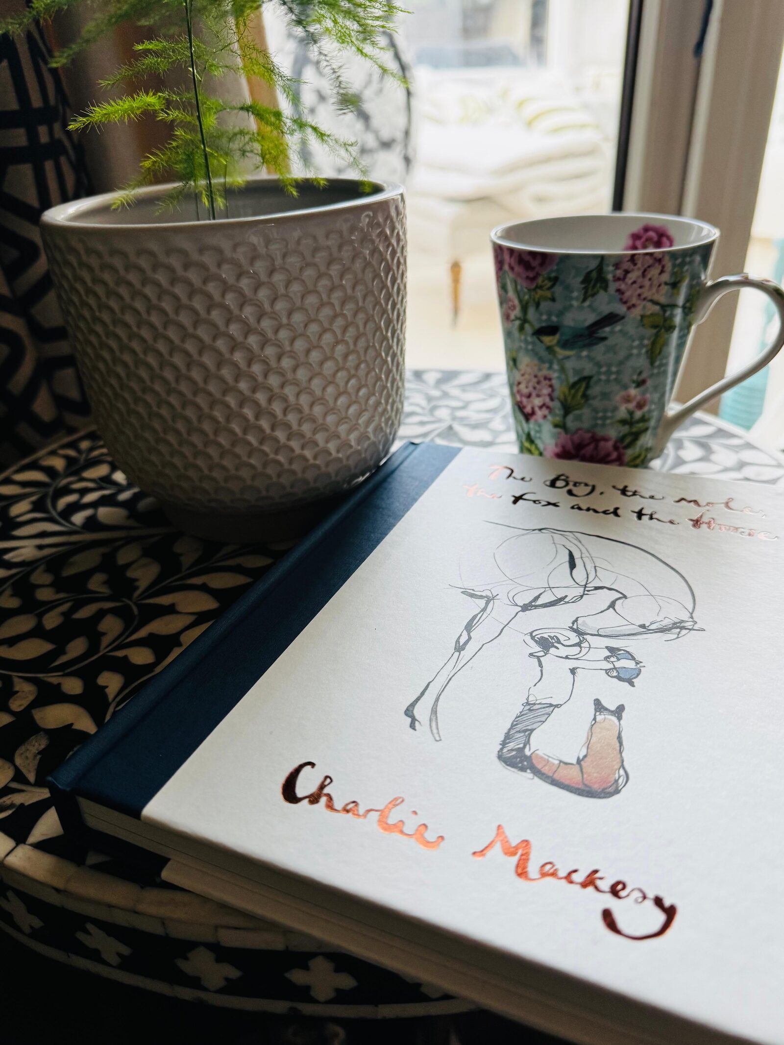 The Boy the Mole the Fox and the Horse by Charlie Mackesy, recommended by Isa Buencamino, WOW Coaching