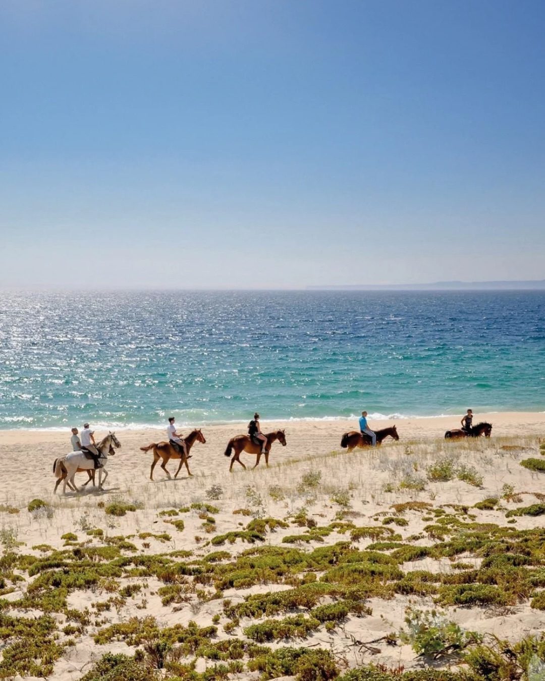 Comporta beach and pine forest, Portugal